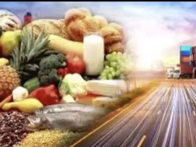  تسریع ترخیص کالاهای غذایی با رویکرد جدید سازمان غذا و دارو 

