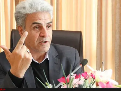 مجلس و دولت دقت لازم را درباره نقش شورایاران ندارند
