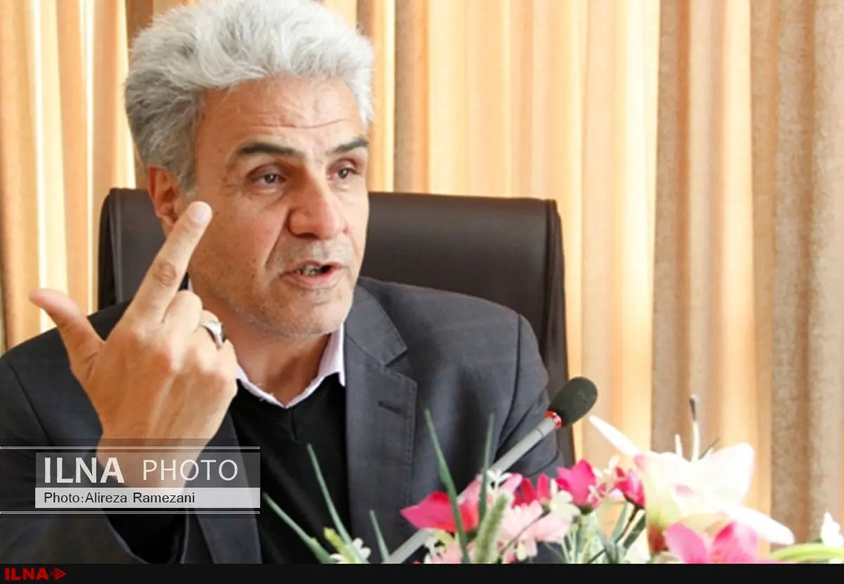 مجلس و دولت دقت لازم را درباره نقش شورایاران ندارند