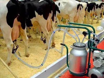 استمرار خاموشی‌های برق، گاوداران استان را فلج می‌کند/ بحران کمبود دام مولد در آینده نزدیک/ کشف 3 هزار دستگاه بی کیفیت رمز ارز 