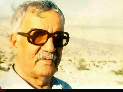 شاعر «گنجشگک اشی‌مشی» درگذشت