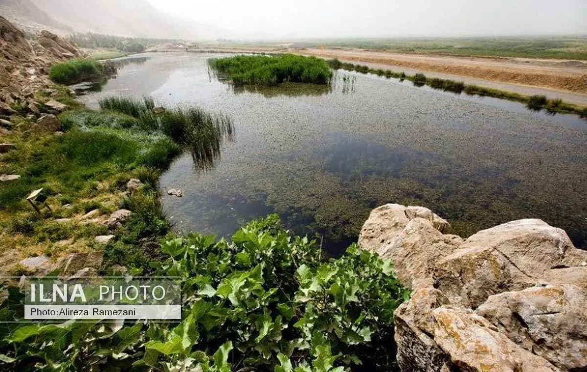 پاکسازی تالاب هشیلان