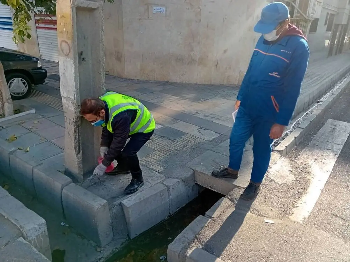 طعمهگذاری اصولی ۳۶ محله در مرحله چهارم طرح مبارزه با جوندگان موذی در گرگان