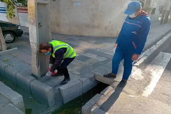 طعمه‌گذاری اصولی ۳۶ محله در مرحله چهارم طرح مبارزه با جوندگان موذی در گرگان
