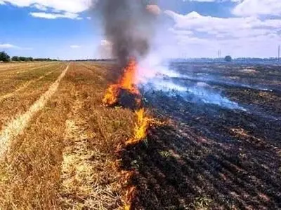 هشدار فعالان محیط زیست نسبت به تداوم آتش زدن بقایای مزارع در مرودشت