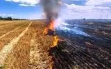 هشدار فعالان محیط زیست نسبت به تداوم آتش زدن بقایای مزارع در مرودشت