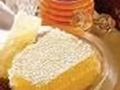 ۳۵۸نفر در شفت به زنبور داری اشتغال دارند