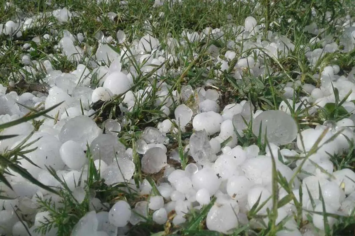 خسارت ۱۴۰ میلیارد تومانی تگرگ در خوشاب