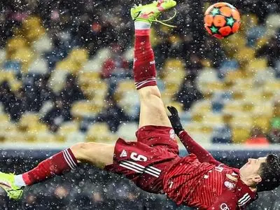 ویدئو: گل قیچی برگردان در هوای برفی