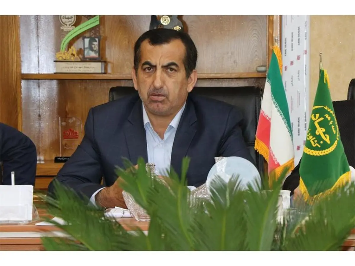 بیش از 99 درصد از باغات تامسون عاری از مگس مدیترانه ای است