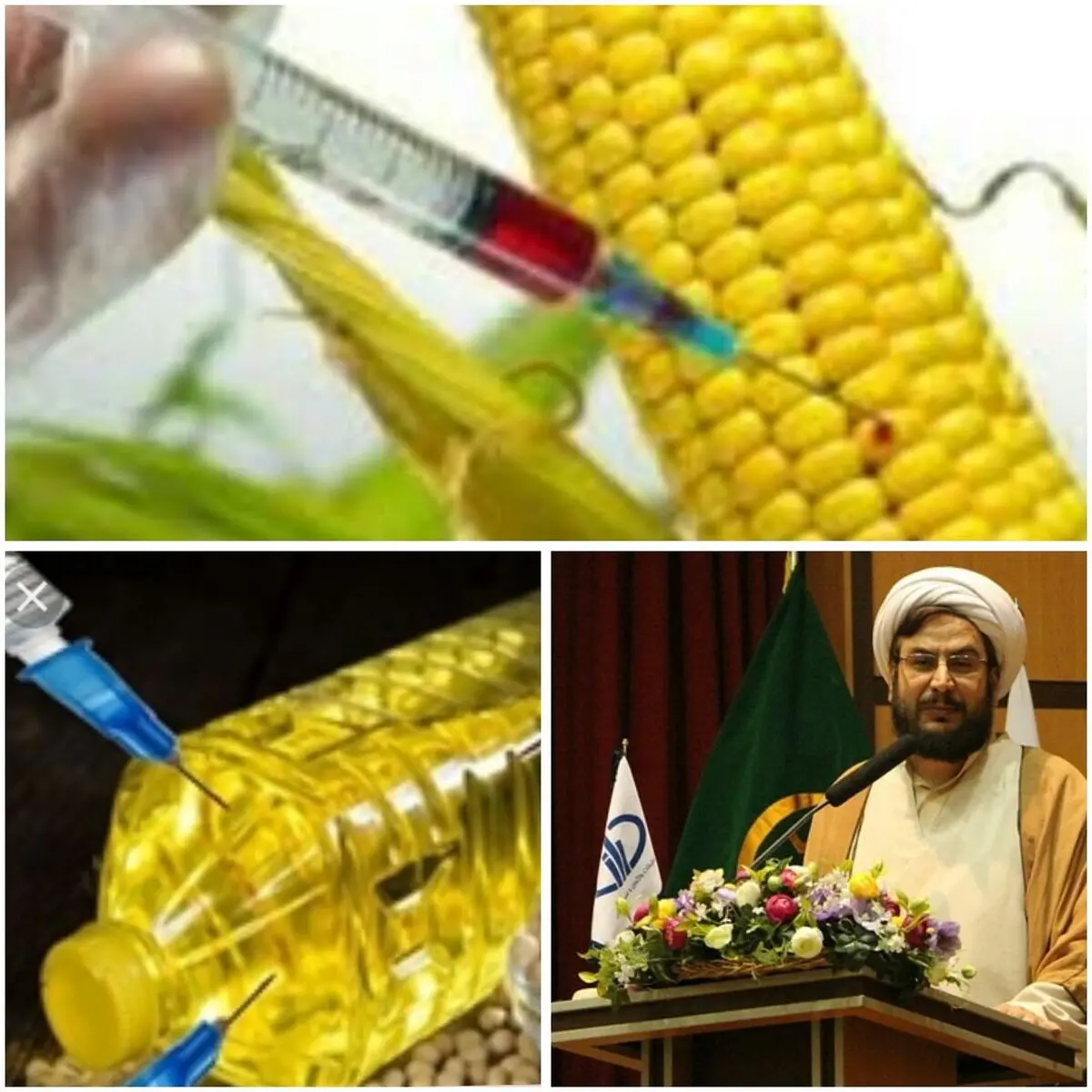 واردات خوراک تراریخته با حمایت برخی مدیران/ اقتصاد سلطنتی در کشور حاکم‌ است