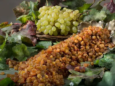 اظهارات نسنجیده نماینده مجلس باعث ضرر انگورداران ترشیز شد/ یک باغدار: با داشتن ۵٠ خروار کشمش در انبار، مجبورم گدایی‌کنم