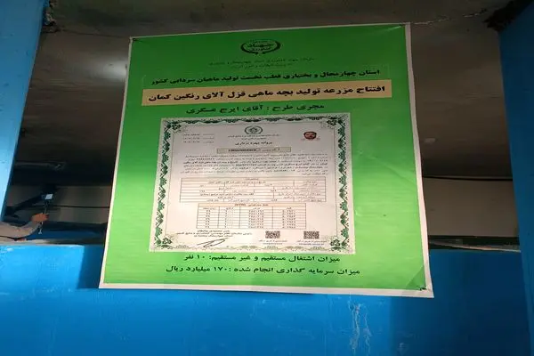 پرورش تولید بچه ماهی قزل الا در شهرستان فرخشهر افتتاح شد