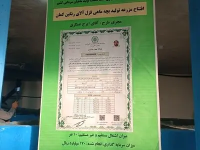 پرورش تولید بچه ماهی قزل الا در شهرستان فرخشهر افتتاح شد
