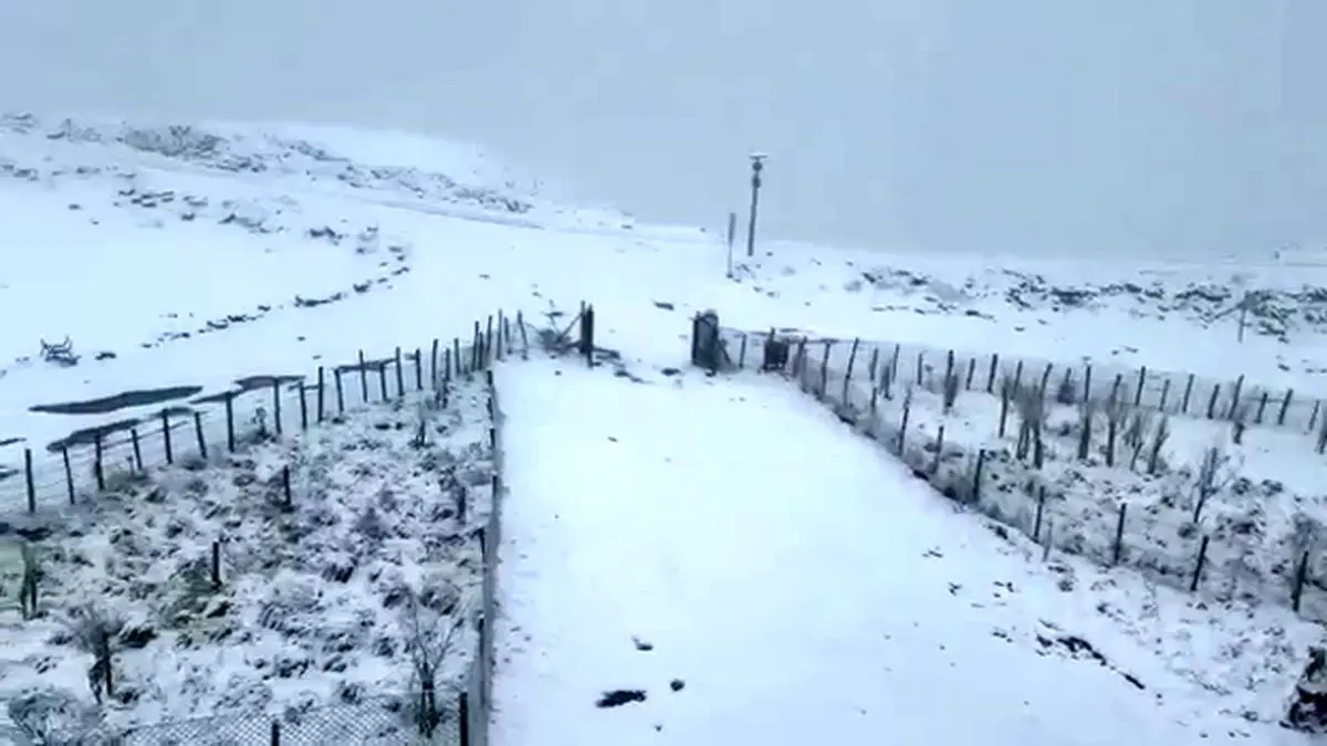 بارش برف در مناطق کوهستانی بالادست گیلان