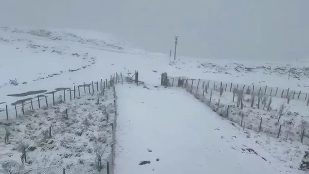 بارش برف در مناطق کوهستانی بالادست گیلان