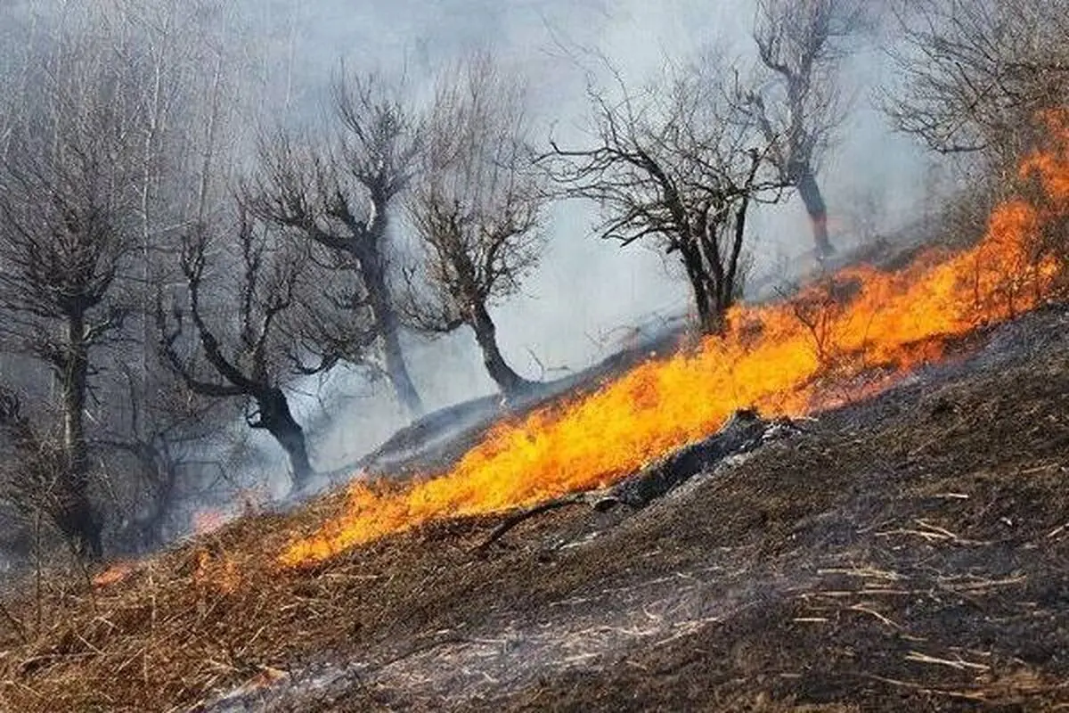 مهار آتش در 1.5 هکتار از اراضی حفاظت شده کوه‌شیر بخش دهبکری