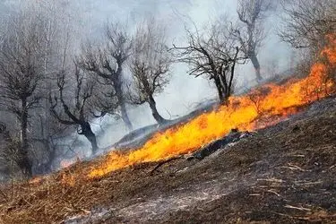 مهار آتش در 1.5 هکتار از اراضی حفاظت شده کوه‌شیر بخش دهبکری