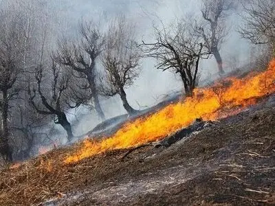 مهار آتش در 1.5 هکتار از اراضی حفاظت شده کوه‌شیر بخش دهبکری