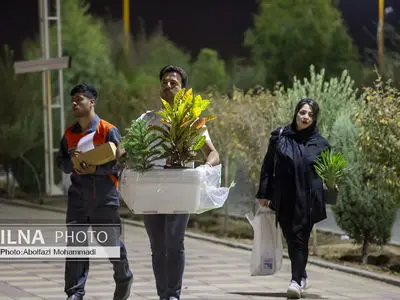 مکان مناسب هر گیاه در خانه را بشناسیم+ عکس