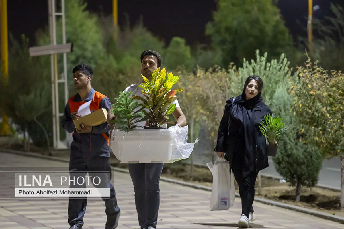 مکان مناسب هر گیاه در خانه را بشناسیم+ عکس