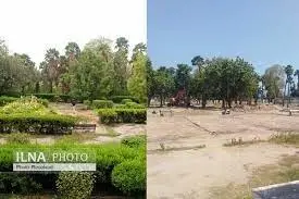 دستگیری سارقان حین بریدن درختان