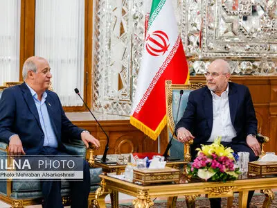  دیدار رئیس مجلس شورای اسلامی با رئیس دفتر سیاسی حماس