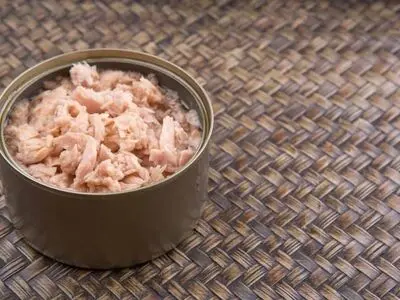 بستری یک ماهه در بیمارستان بر اثر مصرف کنسرو ماهی نجوشیده