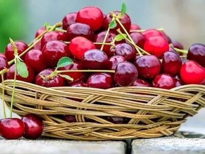 چرا گیلاس را باید شب ها خورد؟