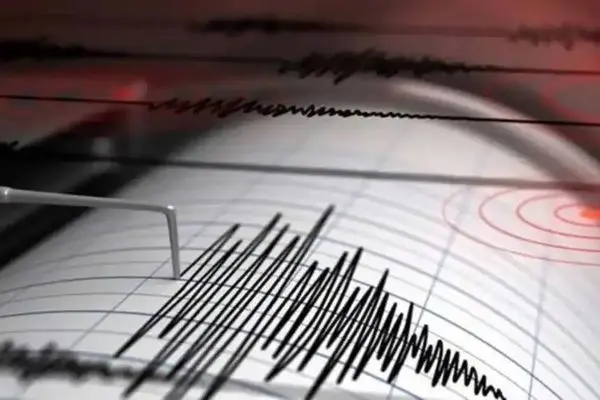 7.3-magnitude quake hits Chile: CENC
