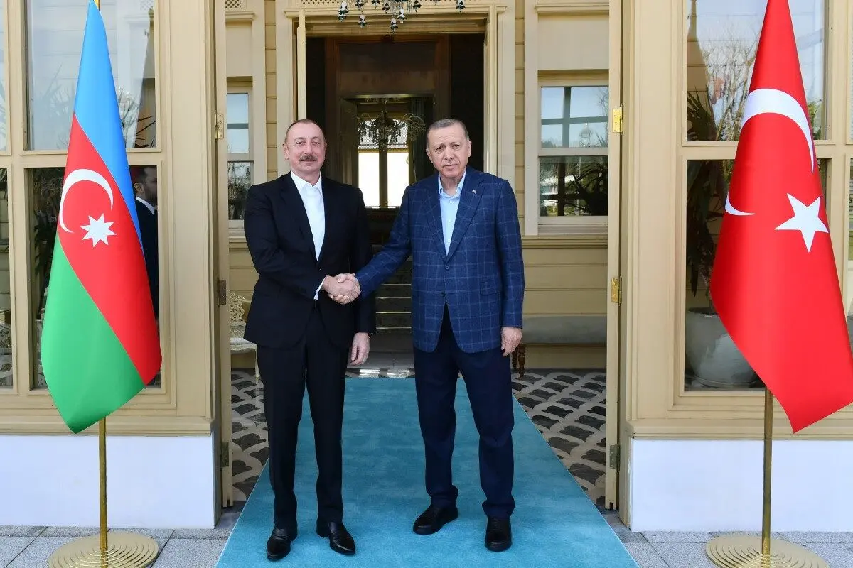 دیدار الهام علی‌اف با اردوغان
