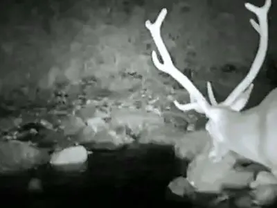 asdasd
