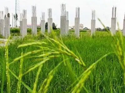 شناسایی ۳۶ هکتار تغییر کاربری غیرمجاز زمین‌های کشاورزی و باغی در گیلان