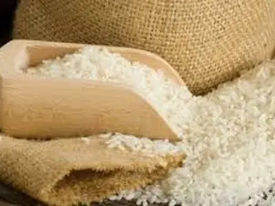 نرخ انواع برنج اعلام شد/ افزایش تقاضا برای محصول خارجی/ بازار برنج ایرانی در رکود کامل است