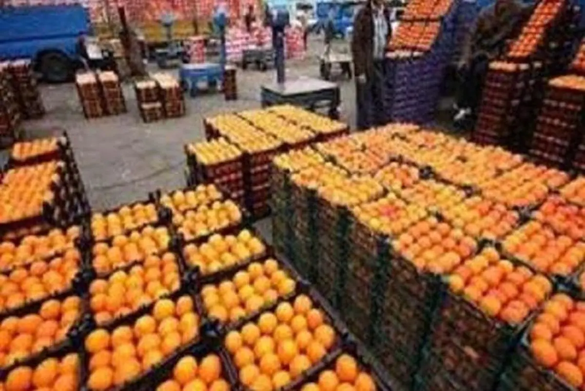 اخطار به چهار واحد سورتینگ برای رنگ‌آوری مرکبات در قائم‌شهر