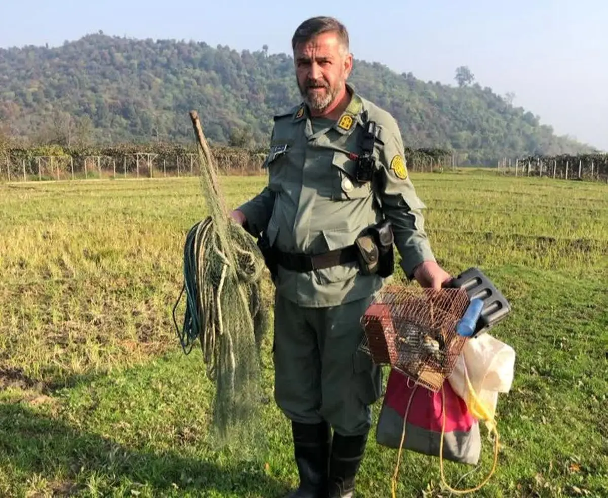 رهاسازی ۱۰ چکاوک و دستگیری زنده‌گیران سهره طلایی در تالش