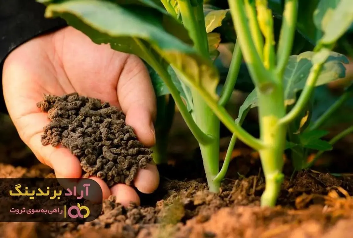 کود فسفر برای گیاهان چه خواص و فوایدی دارد؟