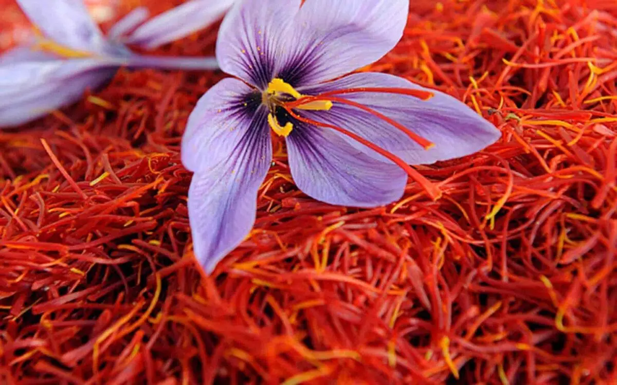 موانع توسعه استان را کنار خواهیم زد/ ضرورت برندسازی و تجاری‌سازی زعفران زاوه