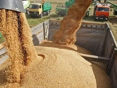 سیاست دولت بر کاهش واردات نهاده/ امکان کشت علوفه ۱۲ میلیون هکتاری در دیمزار