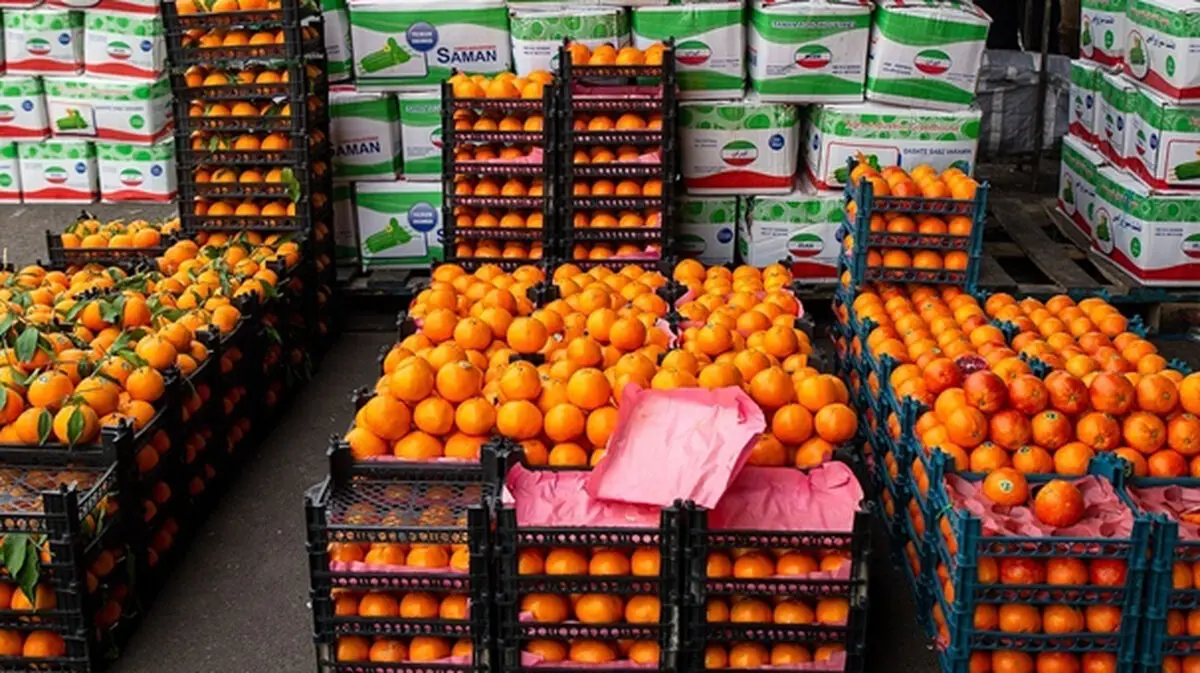 مشکلی برای تامین میوه شب عید در آذربایجان غربی وجود ندارد