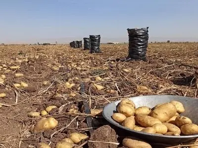 ایجاد ذخایر احتیاطی محصولات کشاورزی برای رفع کمبود در مواقع بحران