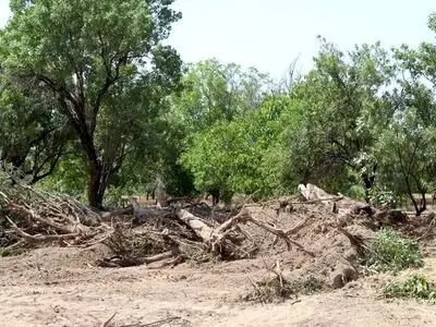 میراث‌فرهنگی قزوین از عوامل تخریب شبانه باغستان سنتی شکایت کرد