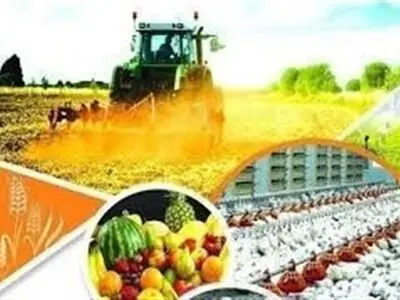 استان مرکزی یکی از مناطق استراتژیک  در تولیدات محصولات کشاورزی است