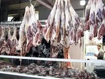 توزیع گوشت منجمد برای کاهش قیمت گوشت در کرمانشاه