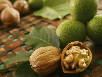 کاهش 60 درصدی تولید گردو در کشور/ قیمت مصوب نداریم/ تقاضا کم است