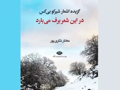 گزیده اشعار «شیرکو بی‌کس» در نمایشگاه کتاب