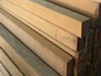 کشف و ضبط ۳۳ اصله گرده کاتین از جنس نارون در ساری