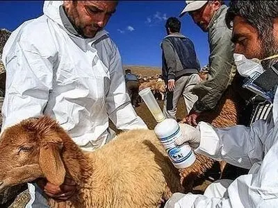 تاکنون گزارشی از موارد ابتلا به تب کریمه در خوزستان مشاهده نشده است