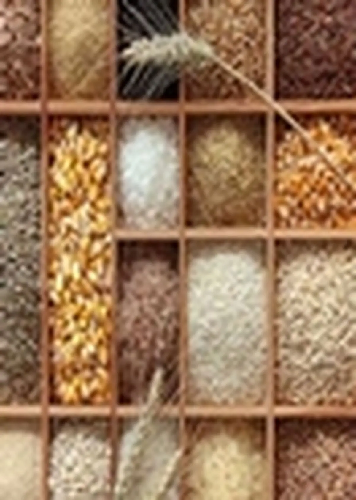 زراعت غلات دانه ریز تا سطح ۲۰۰ هزارهکتار بیمه می‌شود