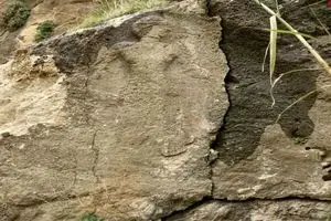 معمای تلخ کتیبه گمشده‌ در میان نیزارها!